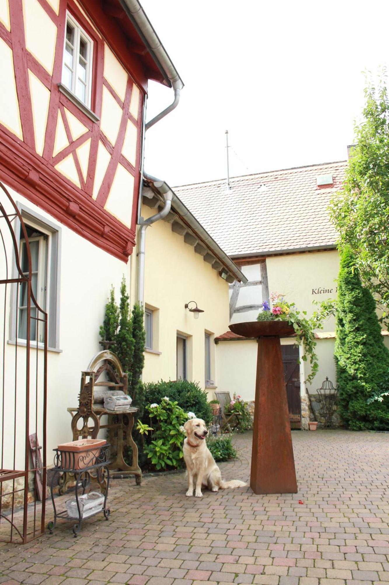 Kleine Residenz Am Schloss 호하임암마인 외부 사진